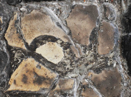 Angela Weber-Hohlfeldt