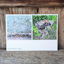 Angela Weber-Hohlfeldt