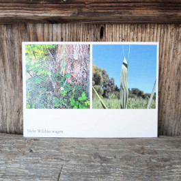 Angela Weber-Hohlfeldt