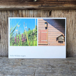 Angela Weber-Hohlfeldt