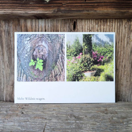 Angela Weber-Hohlfeldt