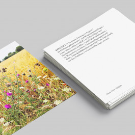 Angela Weber-Hohlfeldt